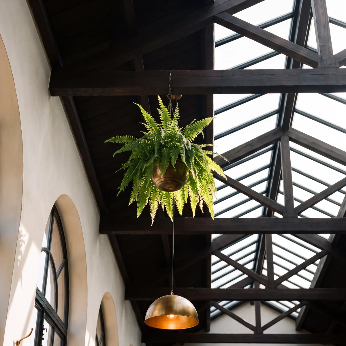 Looking up into dark timber trusses and a glazed skylight, with a fern hanging in a brass pot under a beam and a lit brass dome pendant on a long cord below it, and arched windows down the plastered wall at the left.